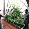Rumah Raditya Dika