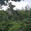 kkn di desa penari, cerita horor, lokasi kkn di desa penari