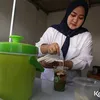 Desi KDI