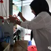Desi KDI