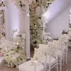 Pernikahan Engku Emran dan Noor Nabila