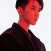Hoshi SEVENTEEN
