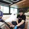 Ameena Nangis Lihat Atta Disuntik