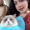 Potret Gemas Kucing Davina Karamoy