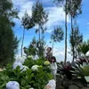 Liburan Gempi dan Gisel