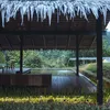 Hotel Nicholas Saputra