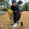 ibrahim anak putri anne