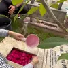 Ifan Seventeen Ziarah ke Makam Dylan Sahara