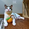 Kucing Presiden Prabowo