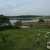 Taman Pemakaman Sandiego Hills