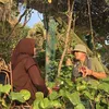 Iwan Fals dan istri