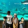 Anak Okan Kornelius dan Viviane