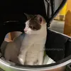 Kamar Bobby Kertanegara