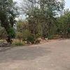 Kampung Artis