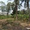 Kampung Artis