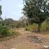 Kampung Artis
