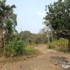 Kampung Artis