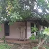 Kampung Artis