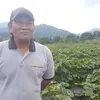 ken ken wiro sableng, kabar ken ken wiro sableng
