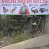 Kejutan Ulang Tahun ke-33 Gisella Anastasia
