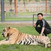 Denny Caknan Bella Bonita Harimau