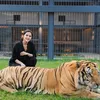 Denny Caknan Bella Bonita Harimau