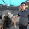 Irfan Haikim