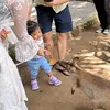 Nadlyne Anak Nanda Arsyinta Main ke Kebun Binatang Pertama Kalinya