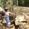 Nadlyne Anak Nanda Arsyinta Main ke Kebun Binatang Pertama Kalinya