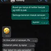 Komeng Foto DPD Pemilu Senayan