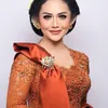 Krisdayanti