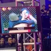 lavenia, lavenia oviola, gadis ring mma