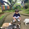 Selvi Kitty dan Anaknya