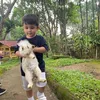 Selvi Kitty dan Anaknya