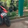 Vaenssa Angel dan Bibi Ardiansyah meninggal dunia