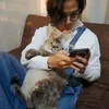dikta dan kucing jimbon