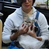 dikta dan kucing jimbon