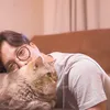 dikta dan kucing jimbon
