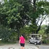 Mayangsari