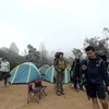 Potret Dara Arafah, Karin Novilda, dan Geng Mendaki Gunung Prau