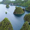 Potret Naysila Mirdad jelajahi Raja Ampat