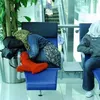 foto unik, foto aneh, foto lucu, foto keren