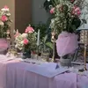 Ulang tahun Syahnaz Sadiqah