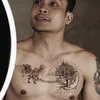 Tato Randy Pangalila 