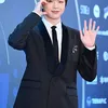 Red Carpet Seoul Music Awards