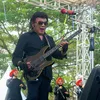 Rhoma irama masih aktif manggung