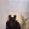 Rumah Baru Glenca Chysara