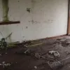 berita alda risma, rumah alda risma, rumah alda risma ditinggalkan