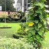 Rumah Nenek Raffi Ahmad di Bandung