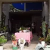 Indah Permatasari Rumah Ortu